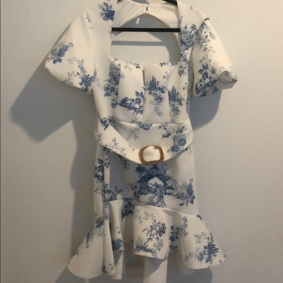 blue and white toile dress